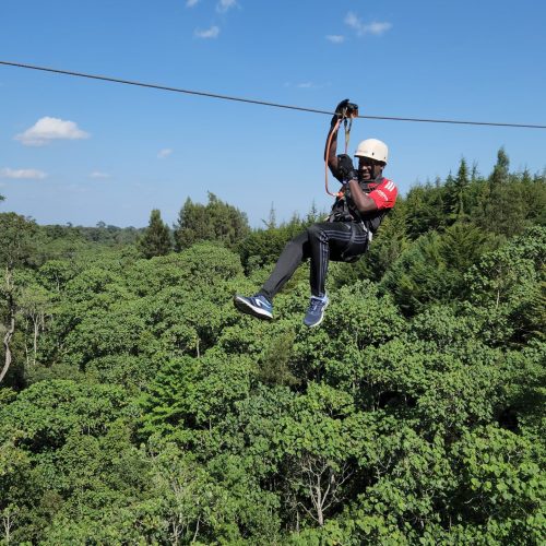 8a16c43f-d10f-4c53-a030-fb6b409416dd